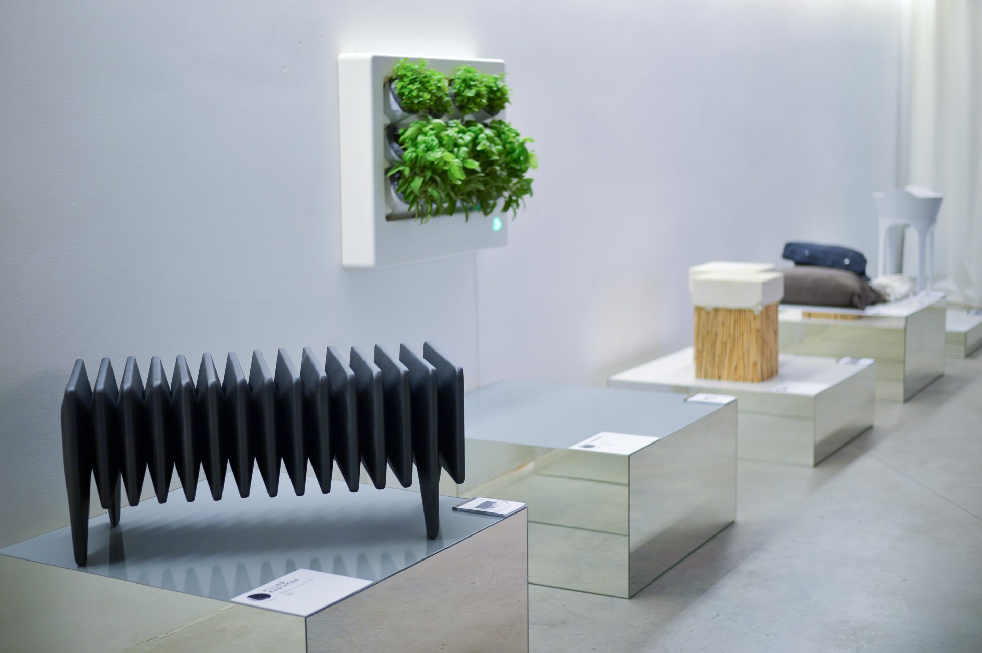 polish_job_designalive-6