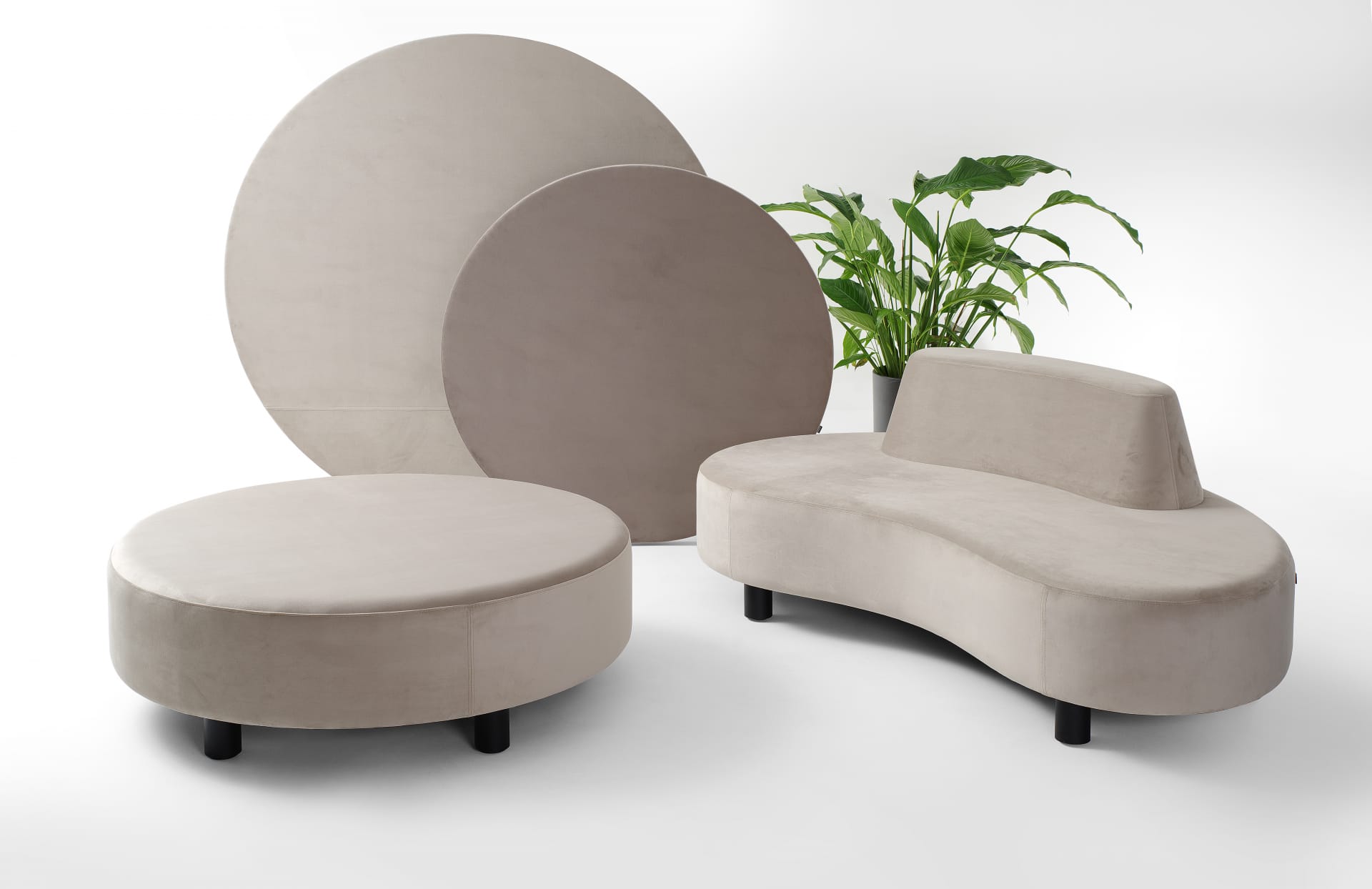 politowicz_nubi_designalive-1