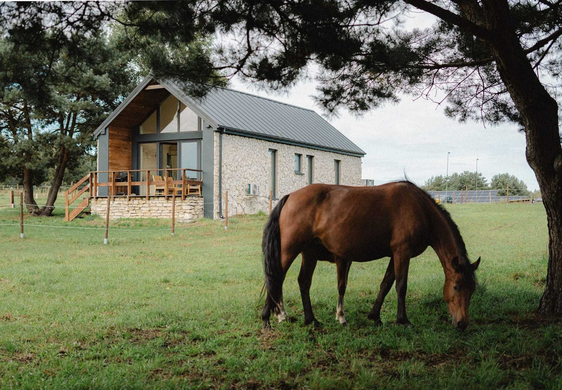 RanczoRosochacz_designalive-1