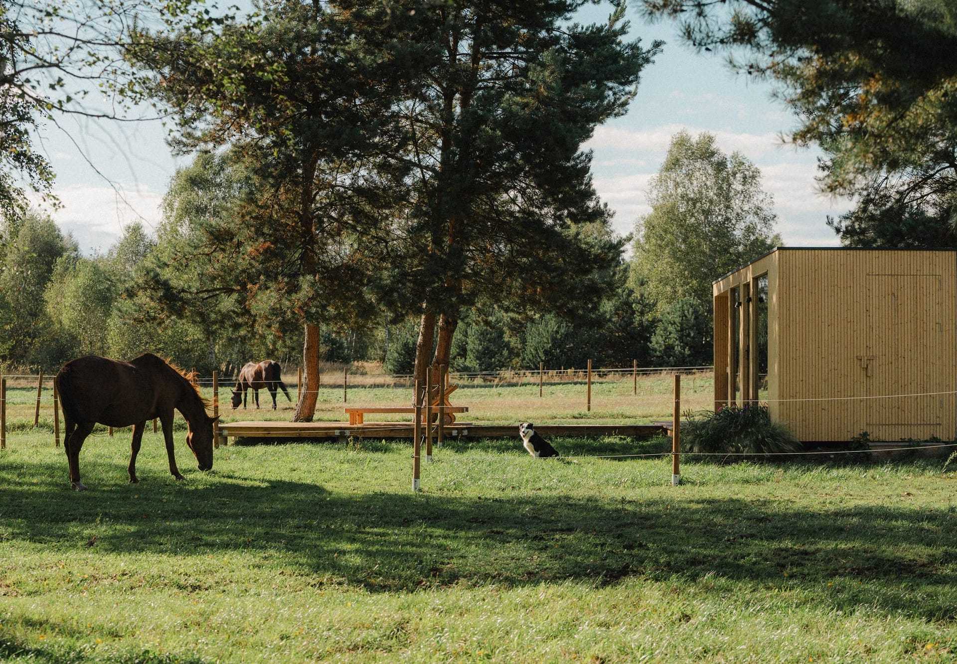 RanczoRosochacz_designalive-22