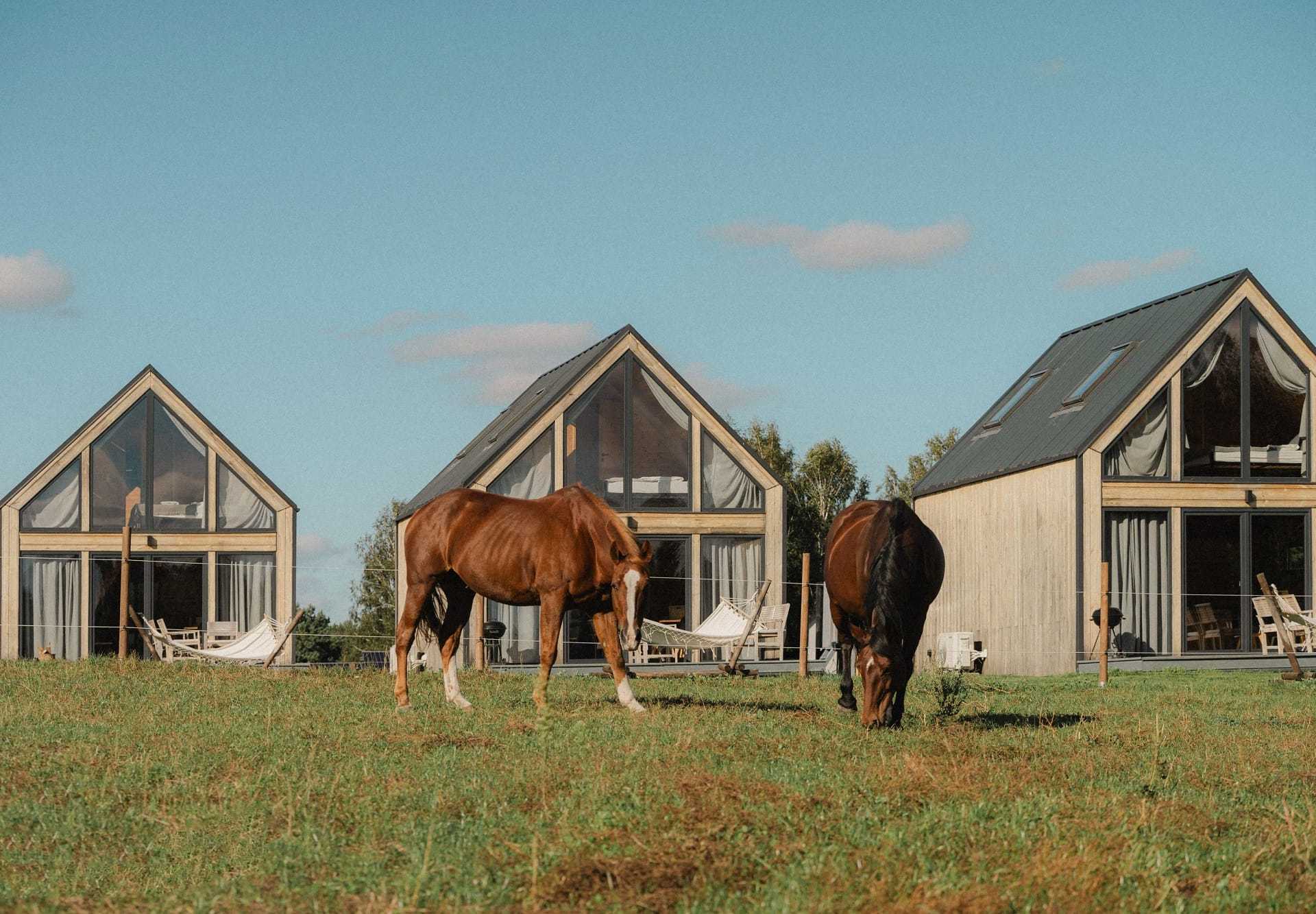 RanczoRosochacz_designalive-23