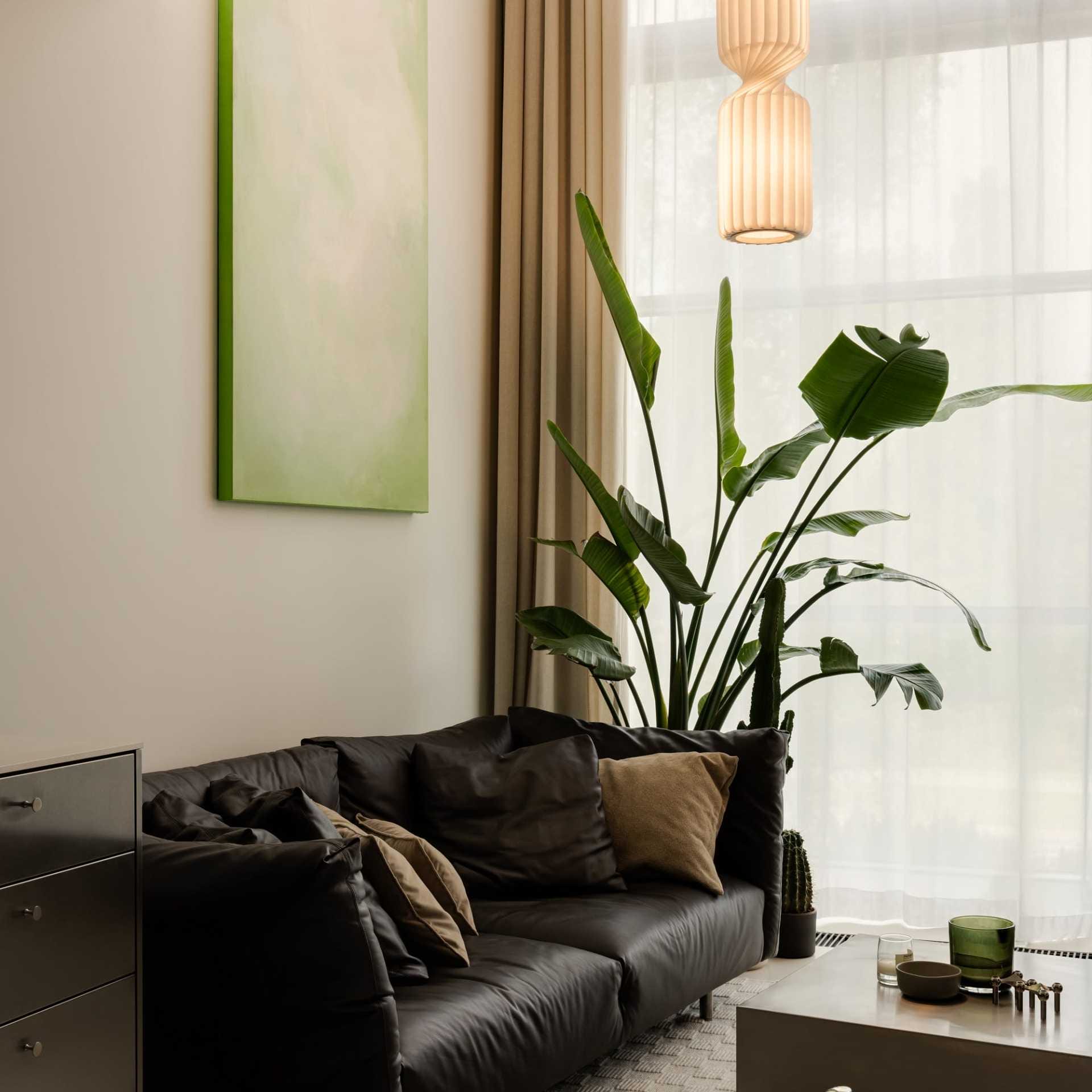 Schudy_studio_moko_designalive-3