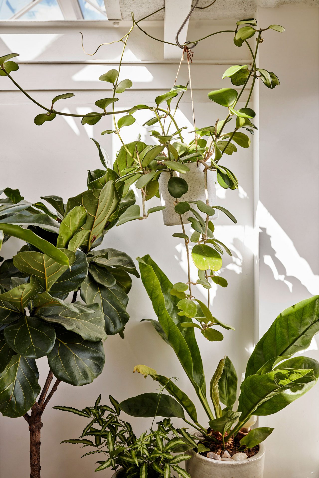 studio_modijefsky_ketelhuis-residence_foto_maarten_willemstein_designalive-15