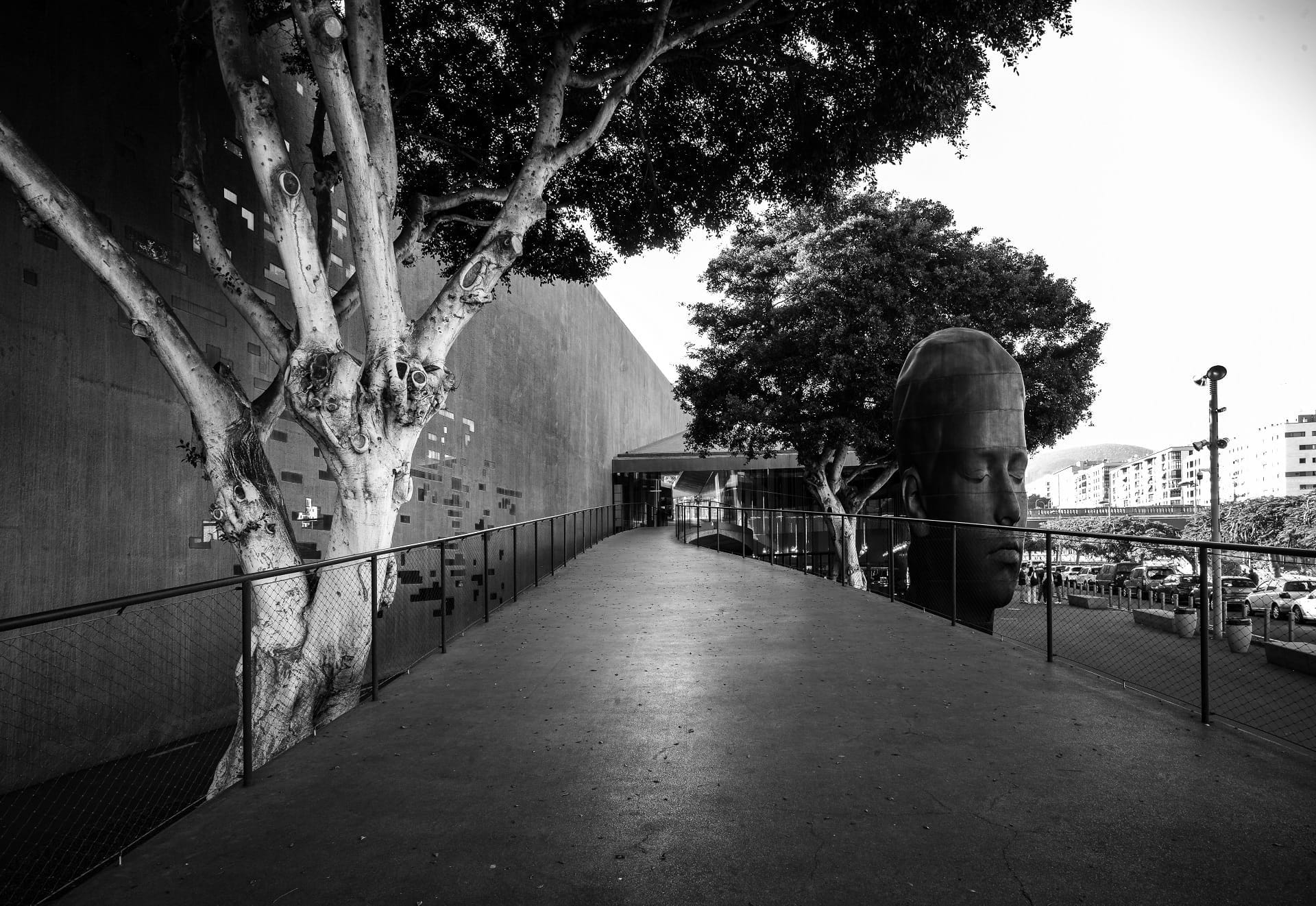 teneryfa_da54_designalive-8