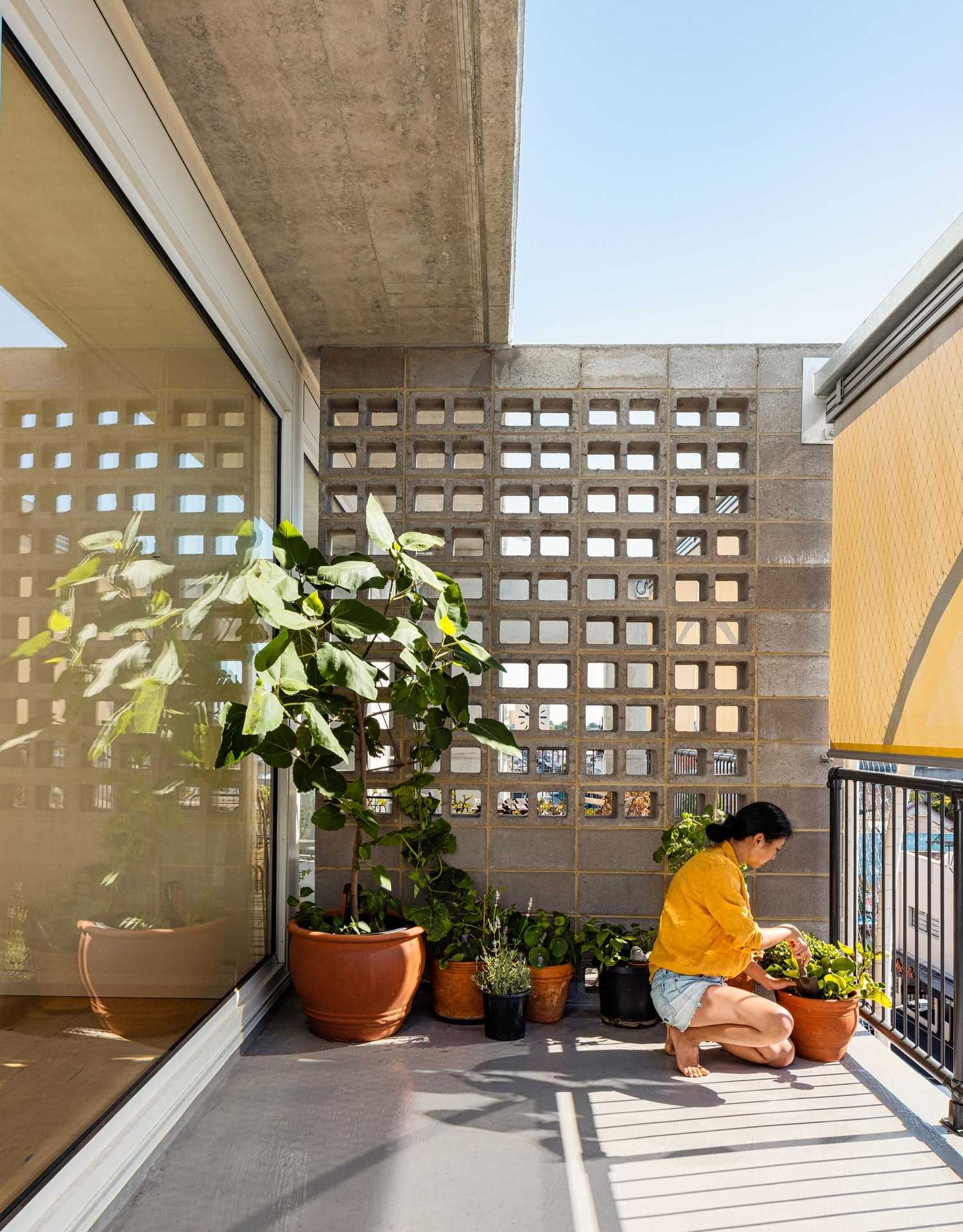 terrace-house_designalive-18