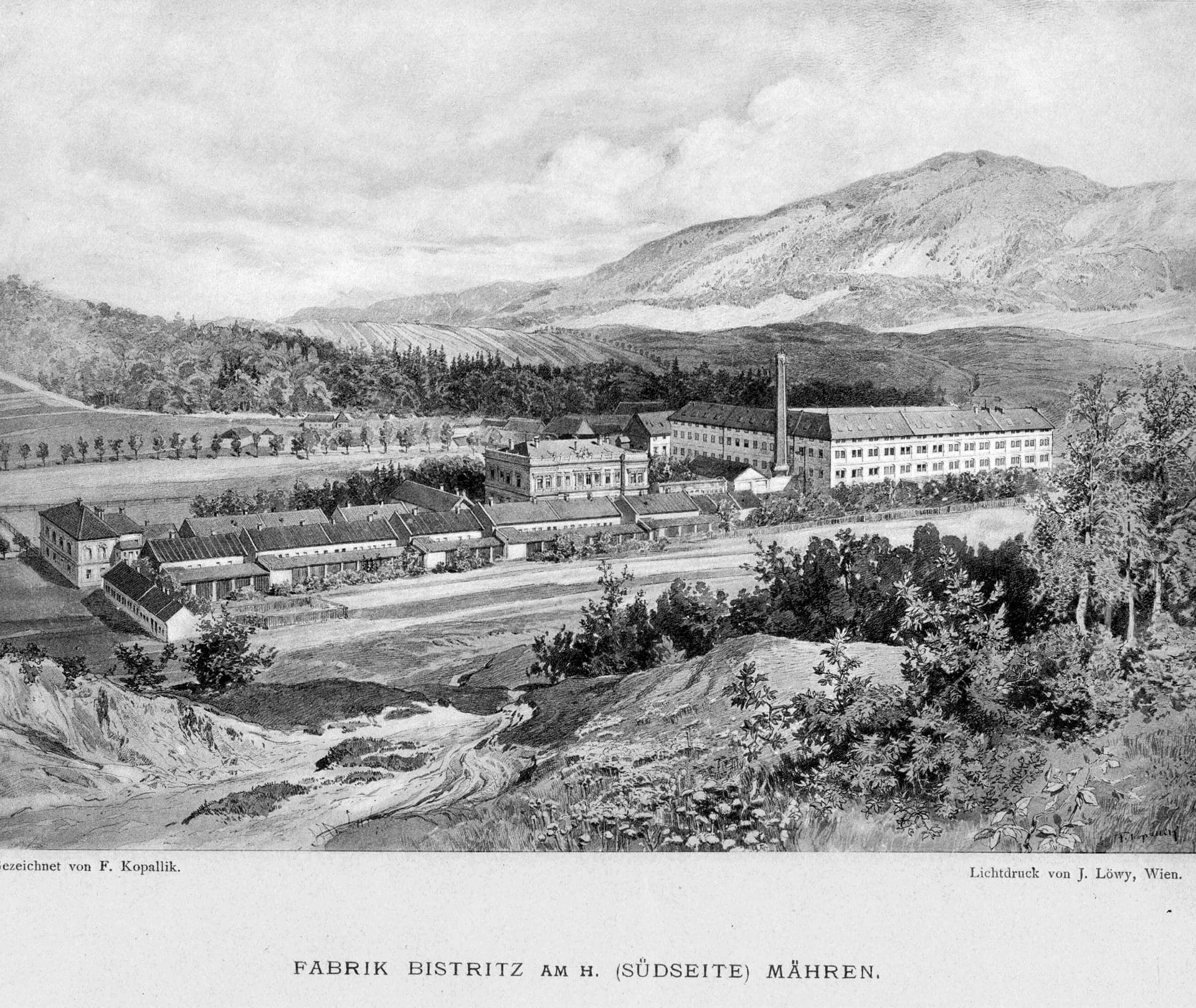 ton165_designalive-1