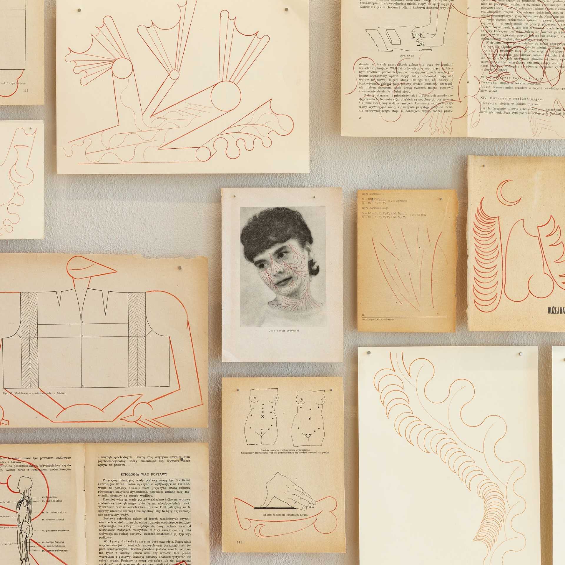 Ukryte_Parametry_designalive-10