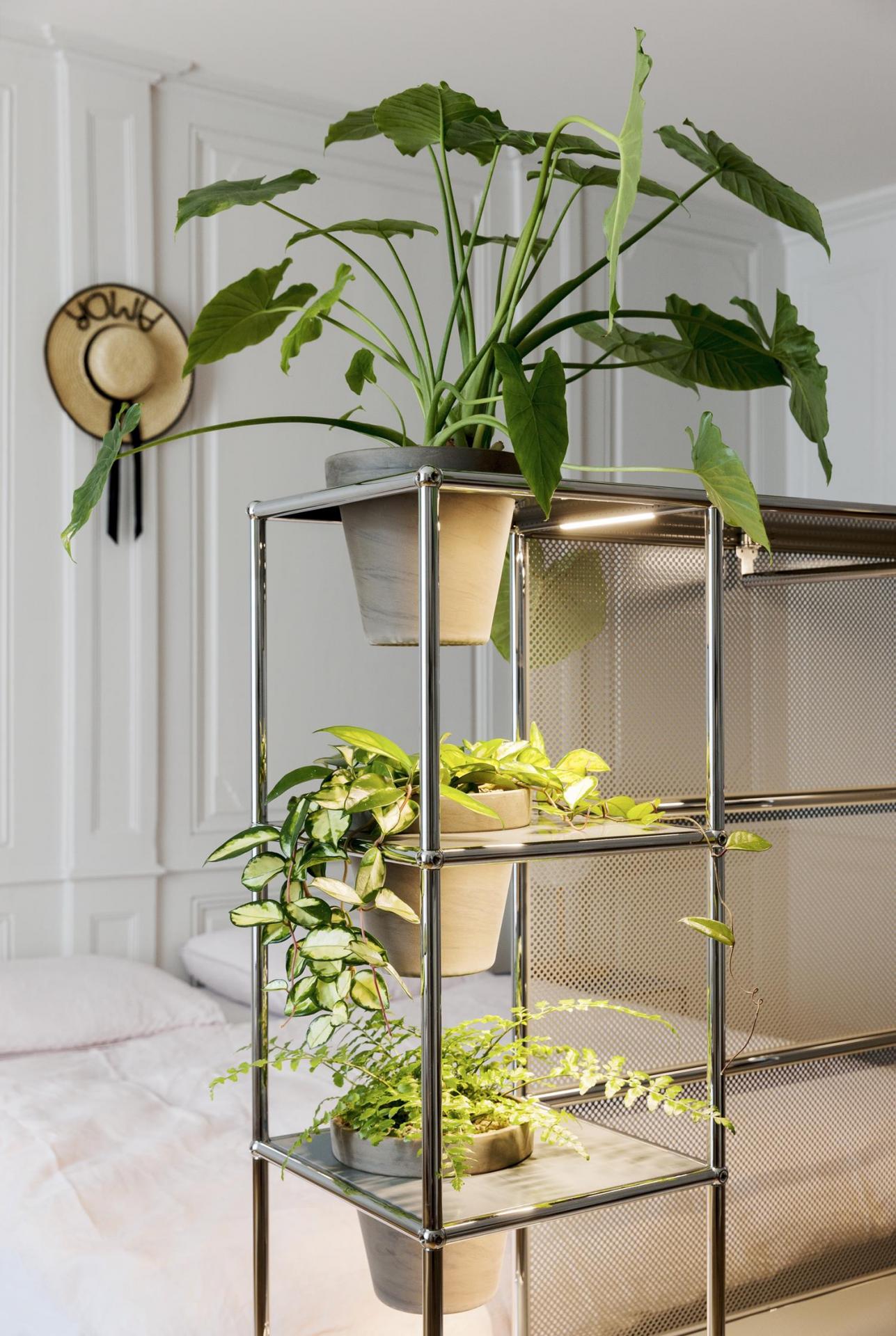 usm-designalive-3
