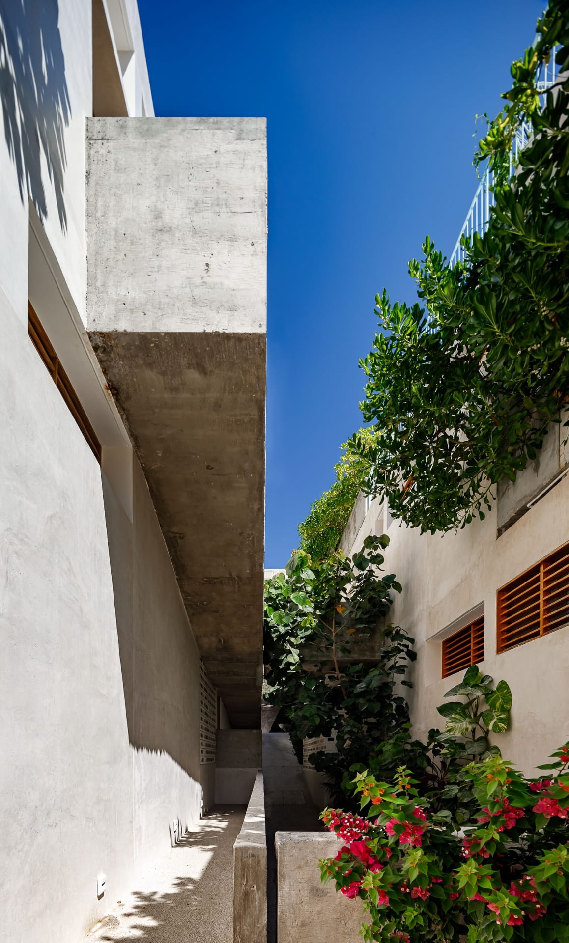 Villas-Escondida_designalive-3