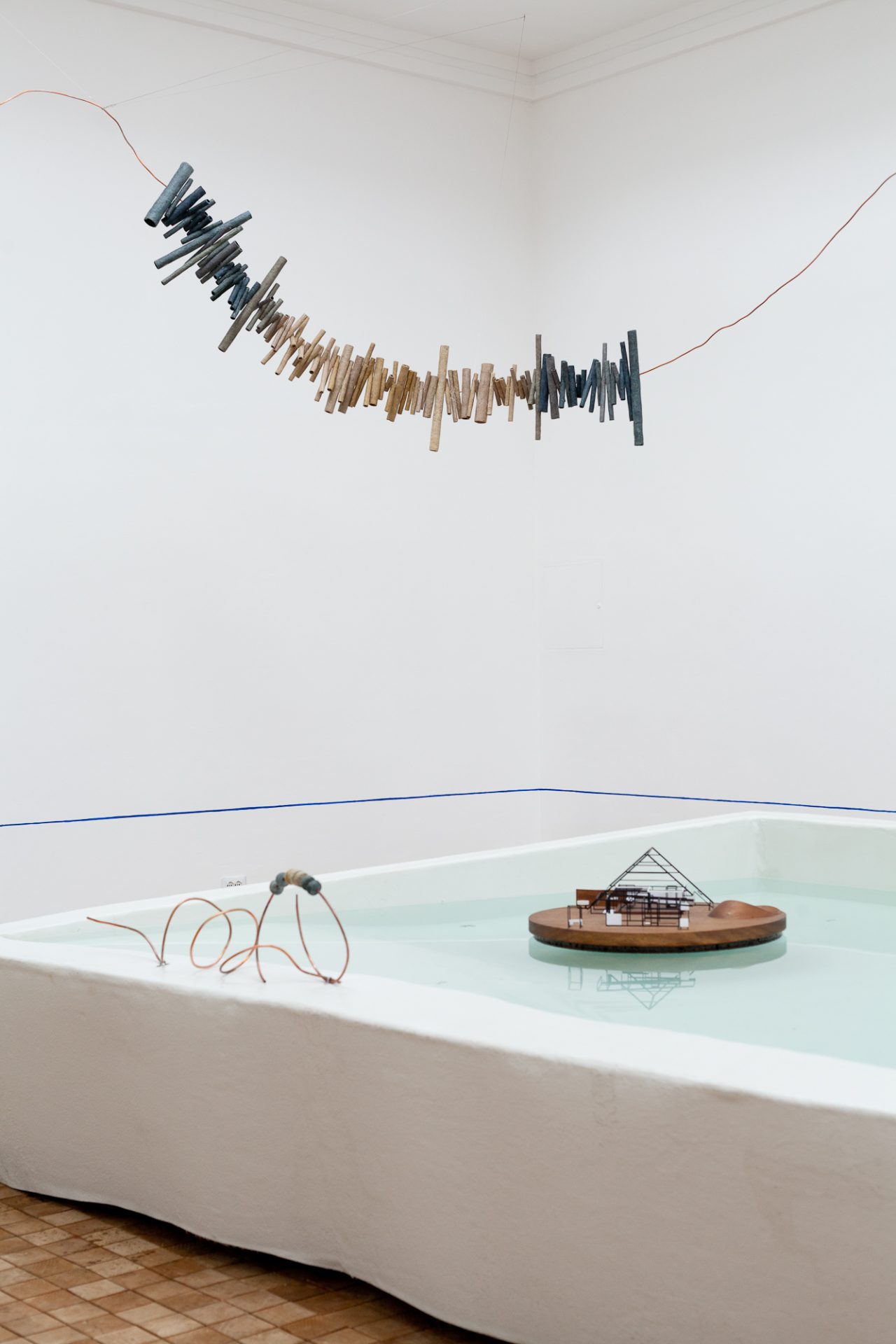 amplifying_nature_exhibition_fot_anna_zagrodzka-15