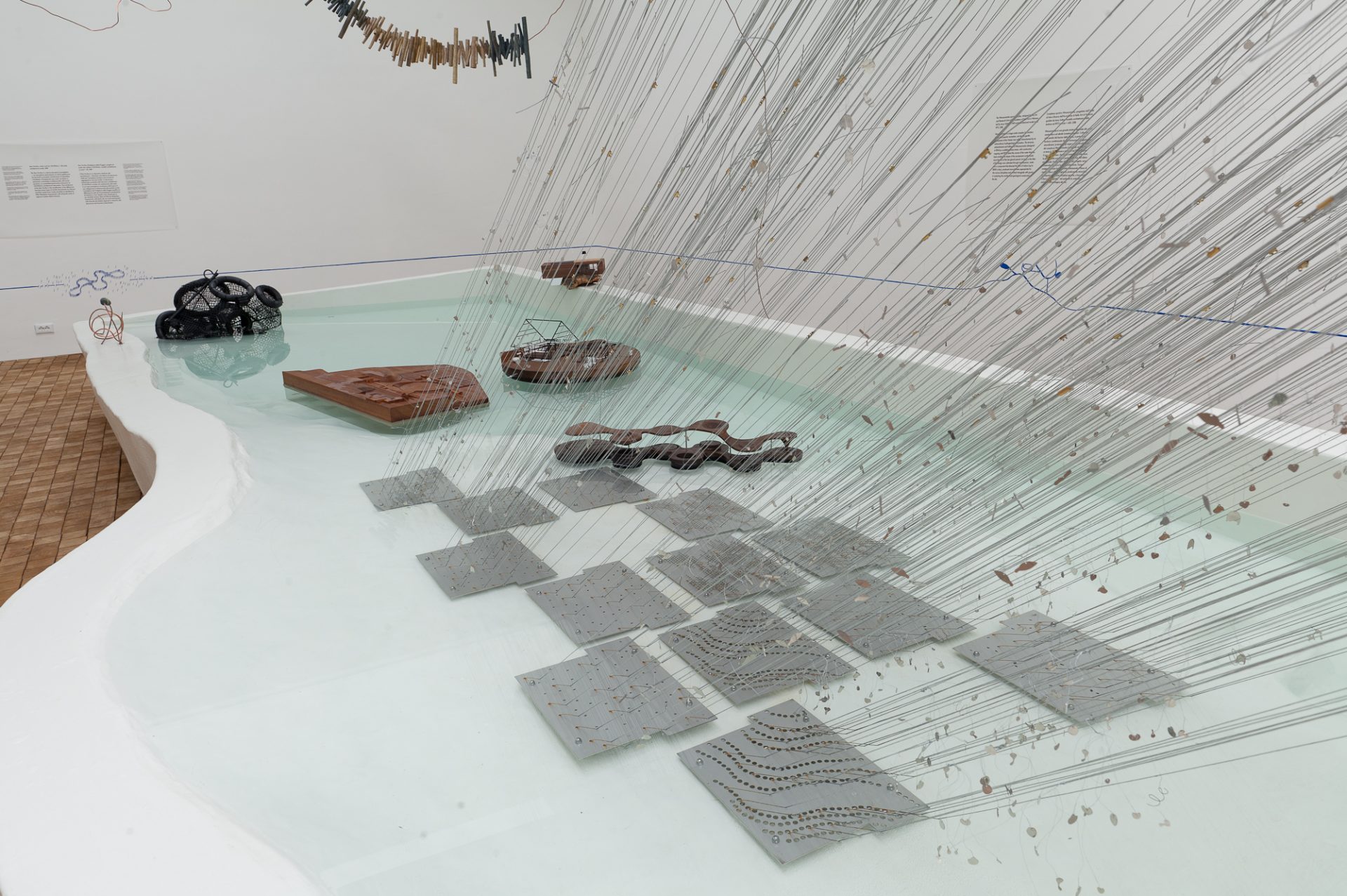 amplifying_nature_exhibition_fot_anna_zagrodzka-7
