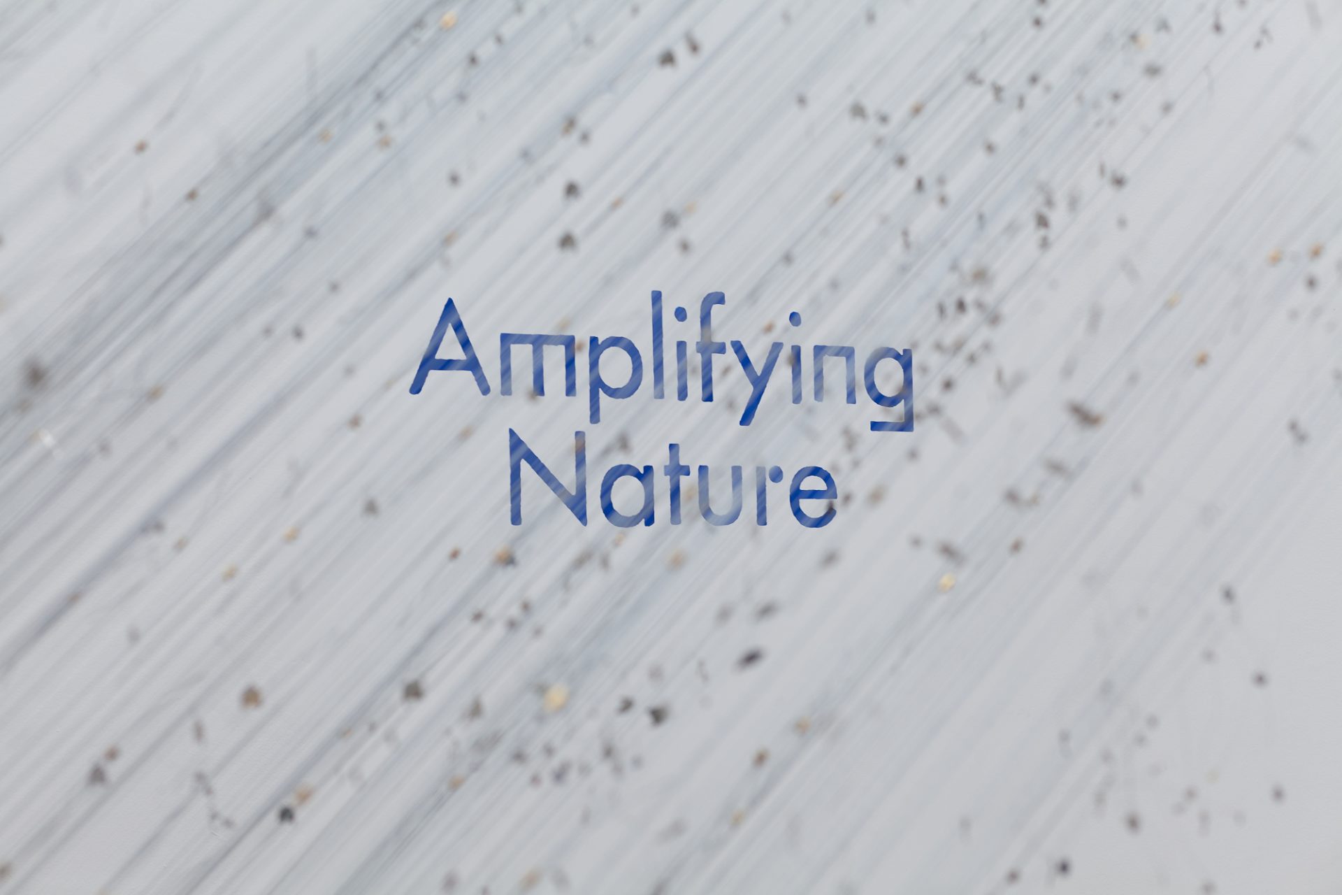 amplifying_nature_exhibition_fot_anna_zagrodzka-8