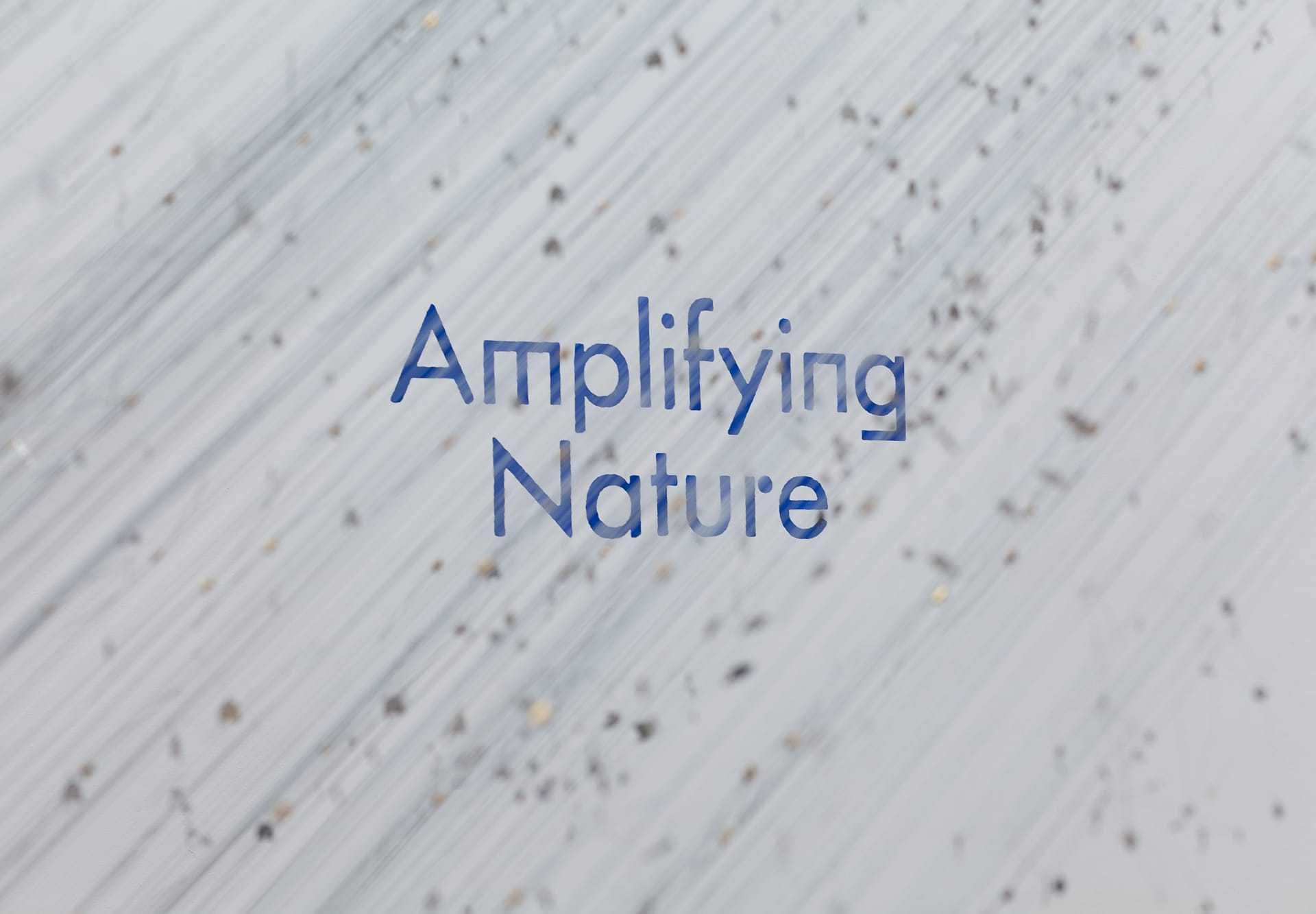 amplifying_nature_exhibition_fot_anna_zagrodzka-8