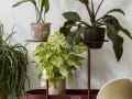 wspierampolskidesign_designalive-9