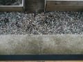 yarmush_architecture_otamto_designailve-11