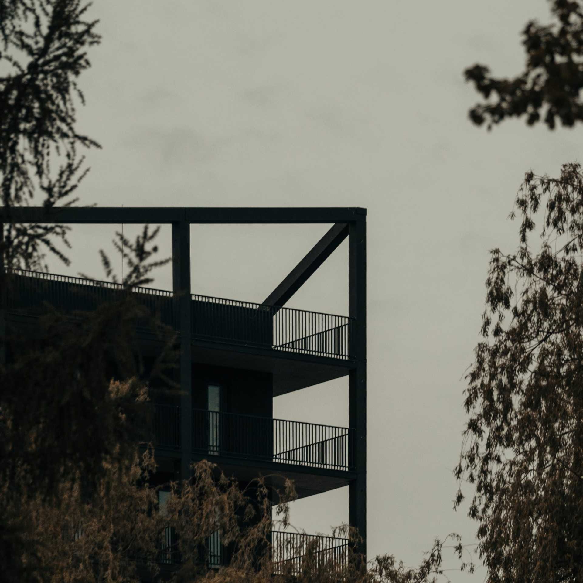 zorro_franta_designalive-1