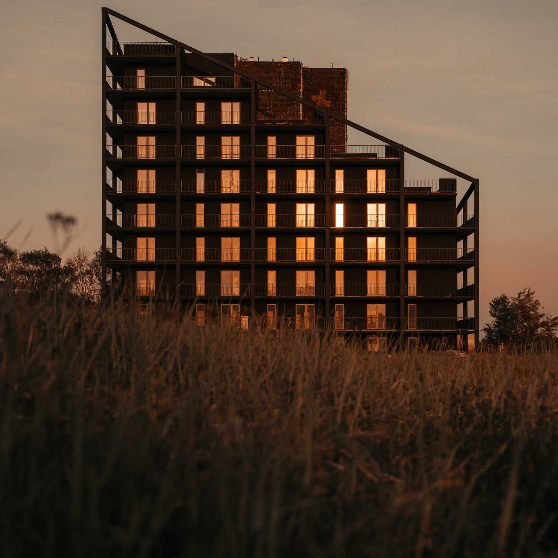 zorro_franta_designalive-6