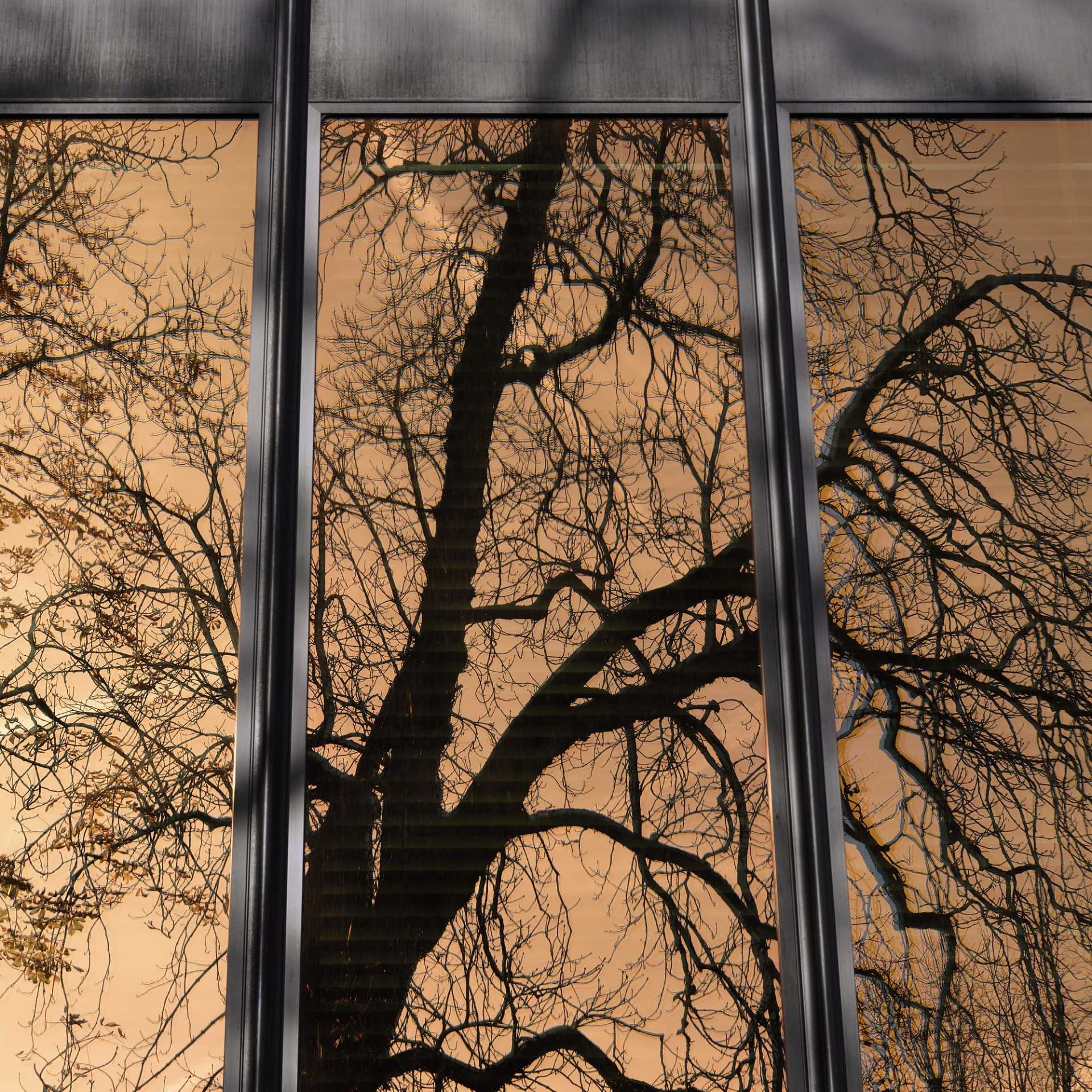 Zurich_da52_designalive-5