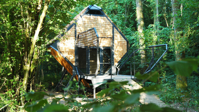 Dziki leśny domek