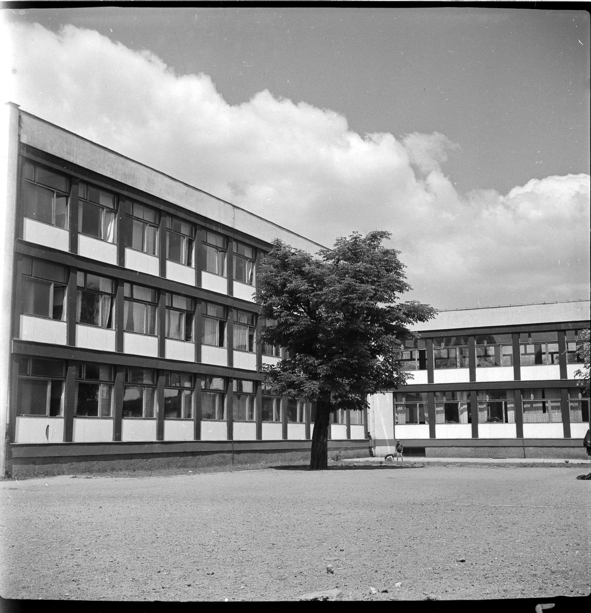 Szkoła Podstawowa nr 71 przy Podwalu, projekt 1955-56, realizacja 1958-60, fot. Tomasz Olszewski, Muzeum Architektury