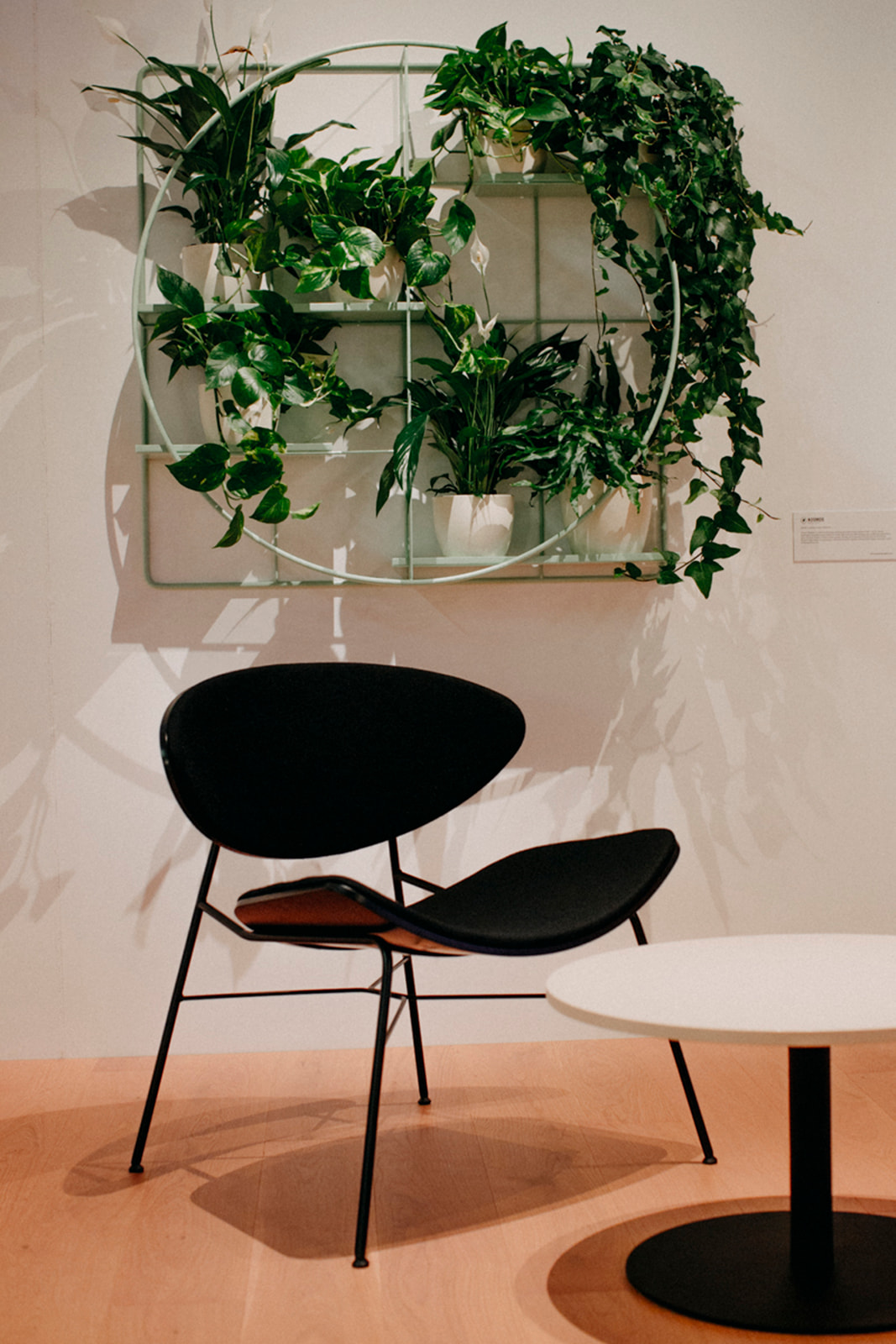 Warsaw Home - Design Alive