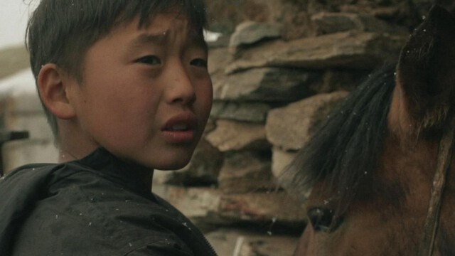 Dziś w Kinie Idei polski film „ZUD”. Wspaniała opowieść o życiu koczowniczej rodziny na mongolskim stepie