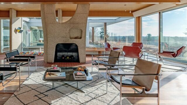Dom z betonowym drzewem w salonie
