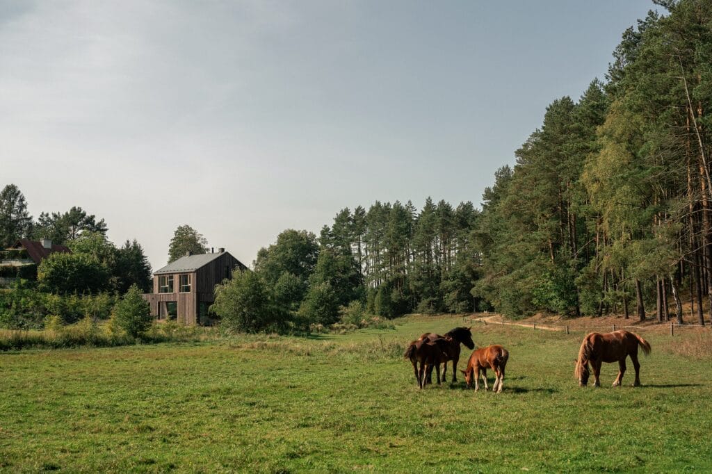 IFA