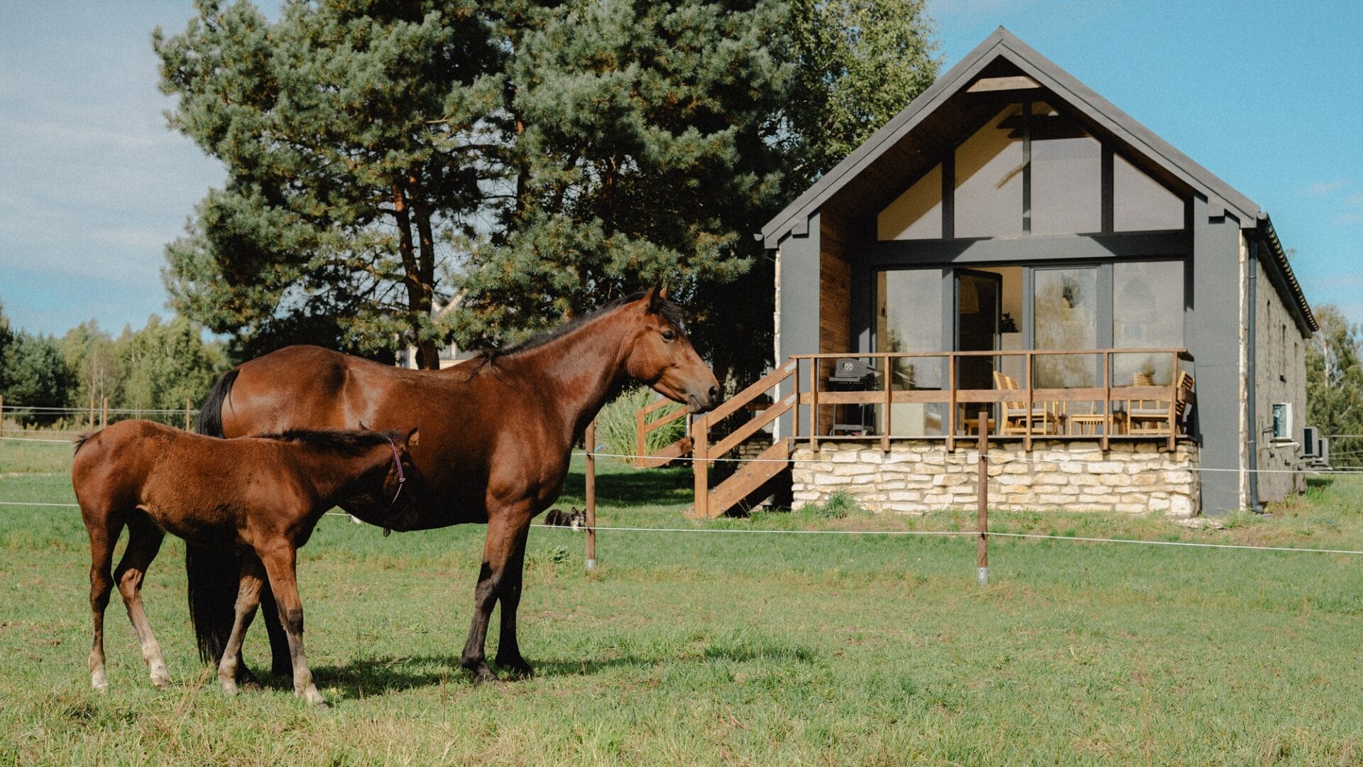 Dziki Zachód po jurajsku